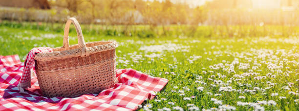 Picnic basket on a sunny neighborhood green